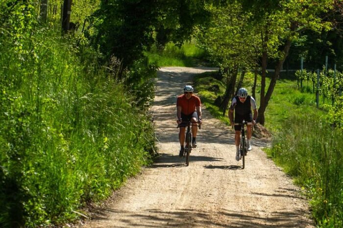 2027 Siena Tuscany Gravel / Road Trip